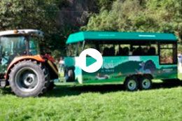 Tren a Brañagallones