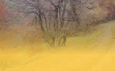 renastur-header
